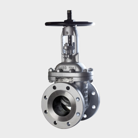 Cast Steel valve